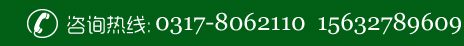 13930758519